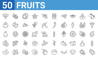 set of 50 fruits web icons. outline thin line icons such as coconut,lettuce,potatoes,apricot,pear,mangosteen,blackberry,spring onion. vector illustration