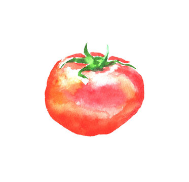 水彩で描いたトマトのイラスト