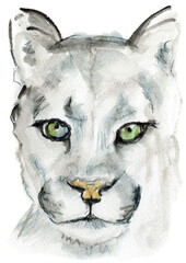 Big Snow Cat Watercolor Portrait