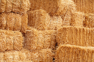 The most valuable feed of livestock is straw