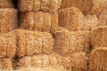 The most valuable feed of livestock is straw
