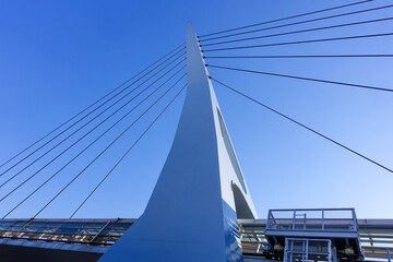 湾岸線を渡り東京テレポート駅とお台場海浜公園駅を結ぶるテレポートブリッジ