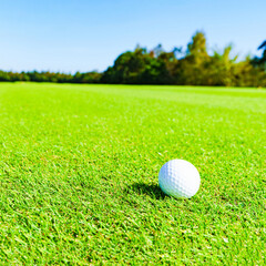 ゴルフボール　ゴルフ　ボール
