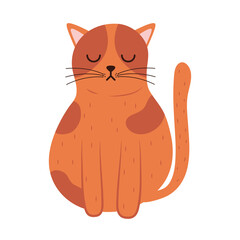 cute little cat orange color pet mascot character vector illustration design