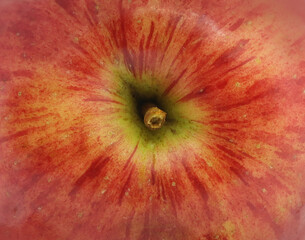 Red apple, top view.
