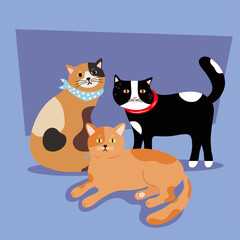 bundle of three cats differents colors mascots vector illustration design