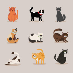 bundle of nine cats differents colors mascots characters vector illustration design