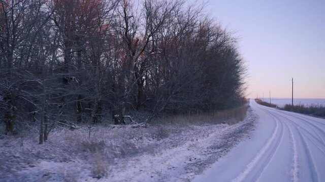 Snowy Curved Road with Trees