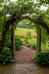 path in the garden