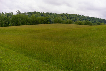 field and blue sky
