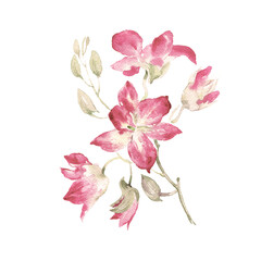  Abstract beautiful illustration of a branch of a blooming orchid painted with paints on paper