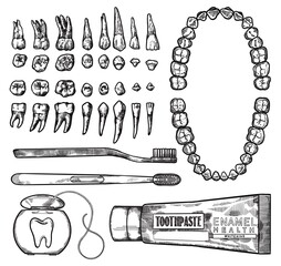 Hand Drawing Lineart Engraving Dental Cleaning Tools and Teeth Illustration Set