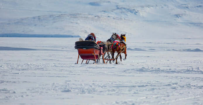 Horses pulling sleigh in winter - Cildir Lake, Kars