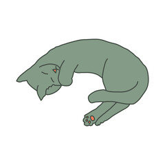 Cosy hand drawn cat. Lying. Sleeping. Vector illustration. Editable lines. Colored with outlines.