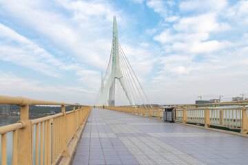 modern sling bridge in the city