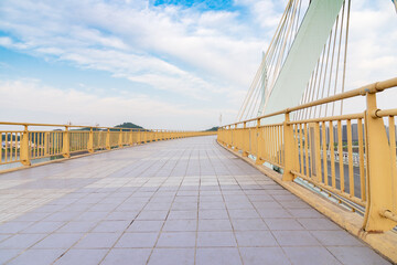 modern sling bridge in the city