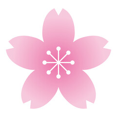 桜の花のカラーアイコンセット/白背景	