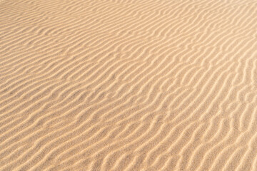 Fototapeta na wymiar Sand texture waves close up. Wavy background pattern of sandy beach. 