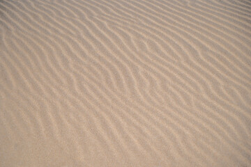 Fototapeta na wymiar Sand texture waves close up. Wavy background pattern on desert. Wind mark on the sand dune