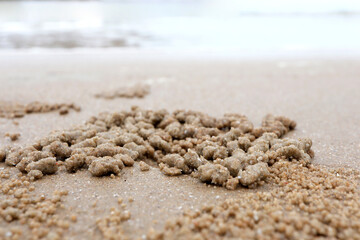 Crab holes in the sand.Sand Bubbler Crab.