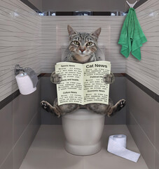 A gray cat is sitting on a white toilet bowl and reading a newspaper in a bathroom.