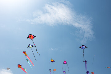 Kites with blue sky and white clouds