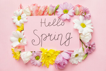 Beautiful flowers and card with text HELLO SPRING on color background