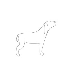 Puppy dog on white background, vector illustration