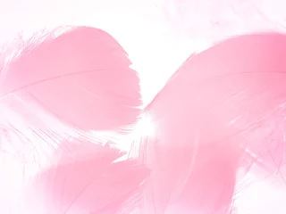 Photo sur Plexiglas Pour elle Belles plumes rose clair abstraites sur fond blanc, texture de cadre de plumes blanches sur motif rose et fond rose, fond d& 39 écran sur le thème de l& 39 amour et saint valentin