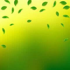 Fototapeta premium Falling green leaves. Fresh tea random leaves flying. Spring foliage dancing on yellow green background. Admirable summer overlay template. Delightful spring sale vector illustration.