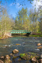 Fototapeta na wymiar Budding forest at a river with a bridge