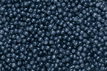 Blueberries background. Healthy eating banner