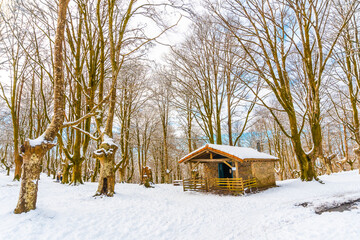 The refuge next to trees in the snow-covered Oianleku Natural Park in the town of Oiartzun, next to Peñas de Aya in winter, Gipuzkoa. Basque Country