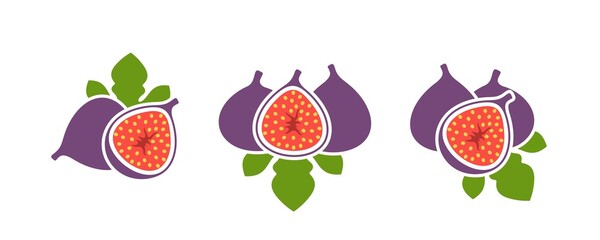 Fig logo. Isolated fig on white background