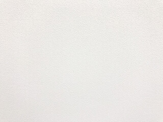 White Wallpaper of Paint Texture