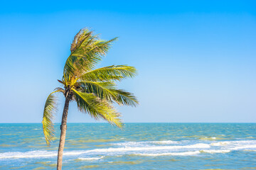 Beautiful tropical beach sea ocean with palm tree
