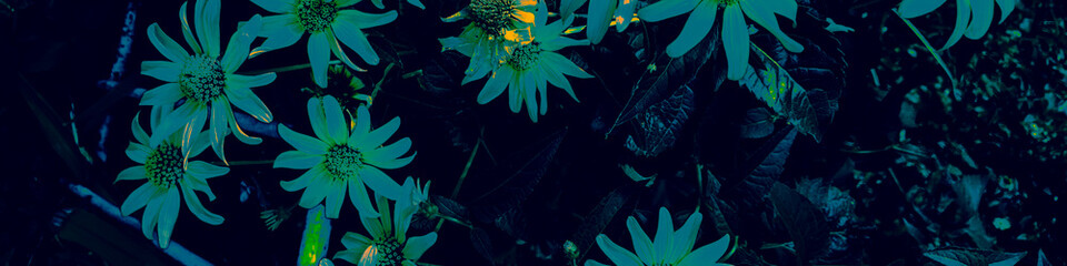 Dark Plant Graffiti. Black Botanical Canva. Green