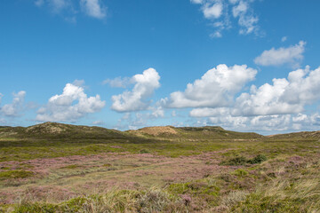 Landschaft auf Sylt