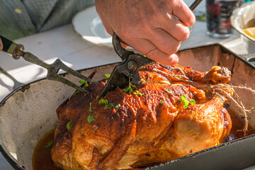 Closeup of cutting roasted chicken with herbs