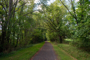 road in the forest