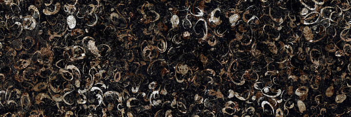 Black marble natural pattern for background, exotic abstract limestone marbel rustic matt  ceramic wall and floor tiles, Emperador polished slice mineral of granite stone, Italian rustic quartzite