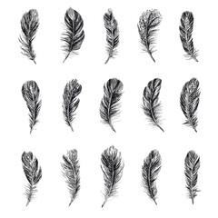 Feathers set, Hand drawn style sketch illustrations.	