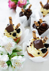 Chocolate cupcakes on white marble background