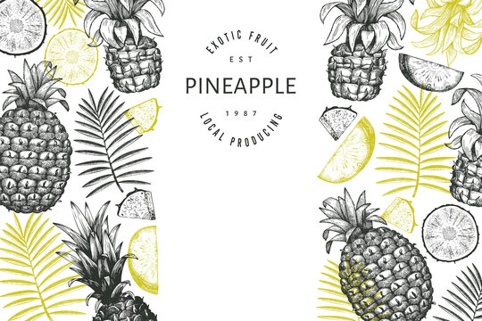 Hand drawn sketch style pineapple banner. Organic fresh fruit vector illustration. Engraved style botanical design template.