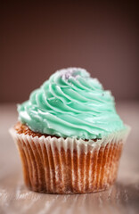 Colored Cupcake on Background. High quality photo.