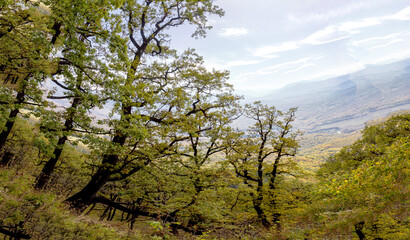 The mountainous area is an area for recreation and travel on a Sunny summer day.