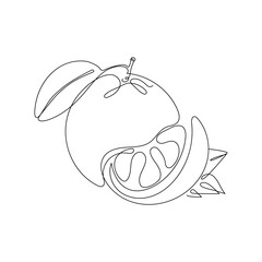 Continuous one line drawing. Orange or citrus fruit. Vector illustration. Minimal abstract art. Black linear art on white background