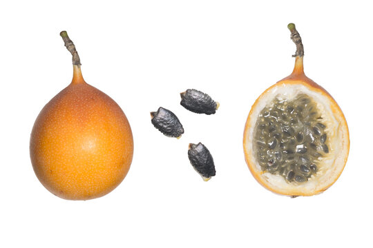 tropical fruits white background