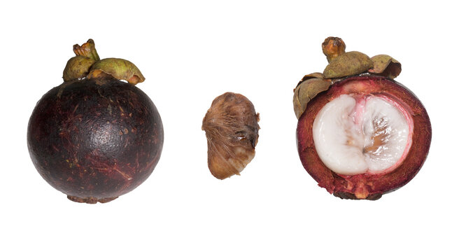 tropical fruits white background