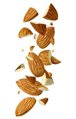 almond nut food healthy organic natural ingredient snack isolated seed brown fruit closeup...